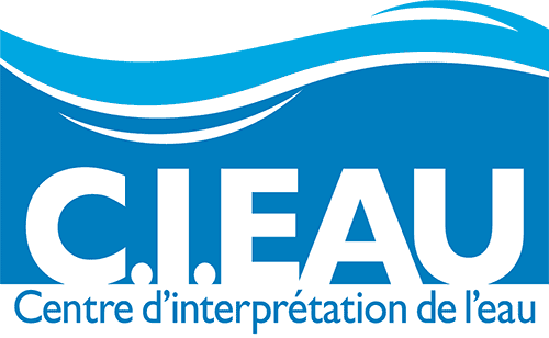 Logo cieau